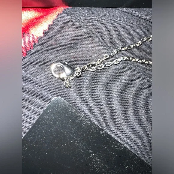 Dolce & Gabbana Horn Necklace w/ box & jewelry cloth. Missing D&G pendant - Picture 10 of 12